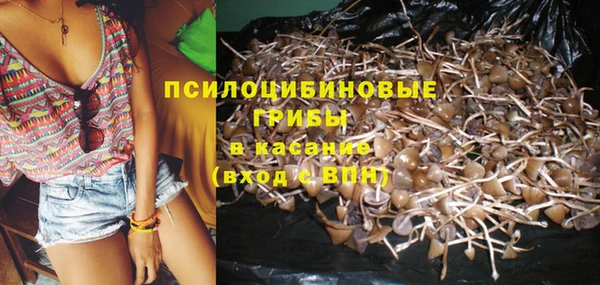 spice Алексин