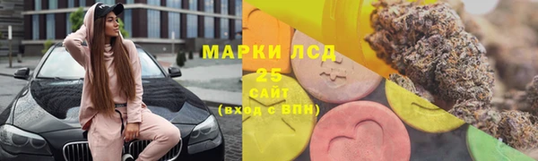 шишки Абинск