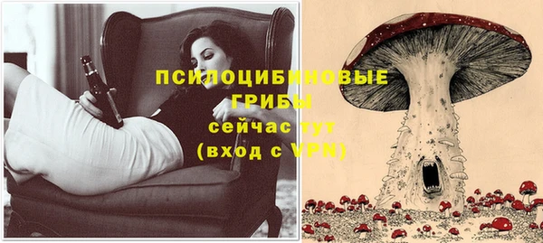 spice Алексин