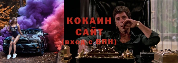 МДПВ Алзамай