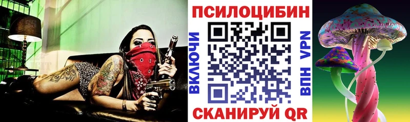 где купить наркотик  ссылка на мегу как зайти  Галлюциногенные грибы GOLDEN TEACHER  Новочеркасск 